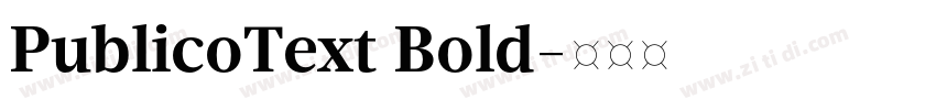 PublicoText Bold字体转换